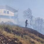 ΕΙΔΗΣΕΙΣ ΣΕ ΒΙΝΤΕΟ: Φωτιά στον Άγιο Δημήτριο Αργολίδας, τελευταία στιγμή σώθηκαν κατοικίες