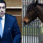 Μηταράκης ως αλογομούρης …dirty Harry – Γράφει ο Νίκος Γ. Σακελλαρόπουλος