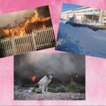 Δήμαρχοι για τα πανηγύρια – Γράφει ο Νίκος Γ. Σακελλαρόπουλος