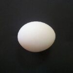 Εργαστηριακό κοτόπουλο – Γράφει ο Νάσος Πετράκης