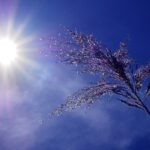 Καιρός: Ο καιρός στην Ελλάδα για σήμερα Σάββατο 15 Ιουλίου 2023