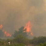 Ενημέρωση του Πυροσβεστικού Σώματος: «Η σημερινή μέρα είναι η δυσκολότερη όλου του καλοκαιριού» – 90 φωτιές αντιμετωπίζει η πυροσβεστική σε όλη την Ελλάδα