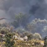 Ολονύχτια μάχη με τις φλόγες στην Μαγνησία – Aναζωπυρώσεις σε Κάρυστο και Ρόδο- Βελτιωμένη εικόνα σε Κέρκυρα και Φθιώτιδα