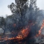 Πυροσβεστική: Αναζωπυρώσεις στον Έβρο, μικρές εστίες στη Πάρνηθα – Συνολικά οι πυροσβεστικές δυνάμεις αντιμετωπίζουν 87 πυρκαγιές σε όλη τη χώρα