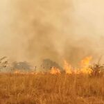 ΕΙΔΗΣΕΙΣ ΣΕ ΒΙΝΤΕΟ: Έβρος: Μάχη με τη φωτιά που συνεχίζει να καίει ανεξέλεγκτη για 13η μέρα δίνουν οι πυροσβέστες στον Έβρο