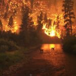 Η λαιμαργία της φωτιάς, τα ερωτήματα κι ο ΣΥΡΙΖΑ – Γράφει ο Νίκος Γ. Σακελλαρόπουλος