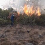 Μάχη με τις αναζωπυρώσεις σε Έβρο και Ροδόπη, διάσπαρτες εστίες στην Πάρνηθα