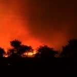 Αλεξανδρούπολη: Καταστροφική η πυρκαγιά για αγρότες και κτηνοτρόφους -Κάηκαν καλλιέργειες, κυψέλες και μικρόσωμα ζώα