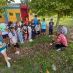 Αλεξάνδρεια: Οι μαθητές του 7ου δημοτικού έσωσαν πληγωμένο πουλί