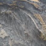 ΕΙΔΗΣΕΙΣ ΣΕ ΒΙΝΤΕΟ: Η επόμενη μέρα στον Έβρο – Πλάνα από Δίκελα και από το Δάσος της Δαδιάς, μετά τις καταστροφικές πυρκαγιές