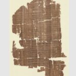 Θεσσαλονίκη: Ο ελληνικός πάπυρος «Μουζίρις» αποκαλύπτει αρχαίους εμπορικούς δρόμους που συνέδεαν Ινδία και Μεσόγειο