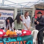 1ο ΕΠΑΛ Έδεσσας: Εκστρατεία Ενημέρωσης για την Παγκόσμια Ημέρα Κακοποίησης κατά των Γυναικών