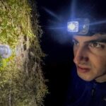 ΕΙΔΙΚΟ ΘΕΜΑ: Ο Έλληνας ερευνητής που συνέβαλε στον εντοπισμό της έχιδνας του Ατένμπορο, το πάθος του για τα έντομα κι ένα γράμμα που χάραξε την επιστημονική του πορεία