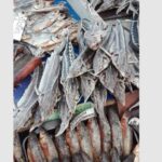 Διατροφή και υγεία: Τα μισά από τα προϊόντα χαβιαριού που ελέγχθηκαν σε ευρωπαϊκές χώρες είναι παράνομα, ορισμένα δεν ήταν καν χαβιάρι