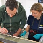 Περιβάλλον: Οι παρεμβάσεις του ανθρώπου είχαν σημαντικό αντίκτυπο στο φυσικό περιβάλλον του ελλαδικού χώρου ήδη πριν από χιλιάδες χρόνια