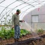 Προδημοσίευση 1ης Πρόσκλησης για «Εγκατάσταση Γεωργών Νεαρής Ηλικίας»