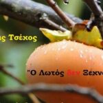 Ηλίας Τσέχος ” Ο Λωτός δεν Ξεχνά ”, Φεγγίτης 2024, Θεσσαλονίκη – Έρχεται Ιανουάριο του 2024