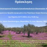 Ημερίδα για την Παγκόσμια Ημέρα Ελαιοκομίας από την 4Ε