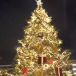 ΕΙΔΗΣΕΙΣ ΣΕ ΒΙΝΤΕΟ: Το Χριστουγεννιάτικο δέντρο άναψε και φωτίζει την Αθήνα