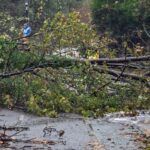 Θεσσαλονίκη: Οι θυελλώδεις άνεμοι την Κυριακή έριξαν 28 δέντρα και προκάλεσαν ζημιές σε ηλεκτροφόρα καλώδια στον Δήμο Θέρμης