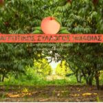 Γενική Συνέλευση Αγροτικού Συλλόγου Ημαθίας