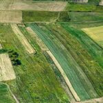 Δήμος Αλεξάνδρειας: Δημοπρασίες για την εκμίσθωση αγροτεμαχίων Δημοτικών Κοινοτήτων