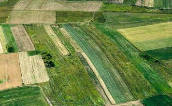 ΥΠΑΑΤ: Διευκρίνιση για την υποβολή υπεύθυνων δηλώσεων για κυριότητα αγροτεμαχίων μέσω ΚΑΕΚ Αγροτεμάχια 12 2021