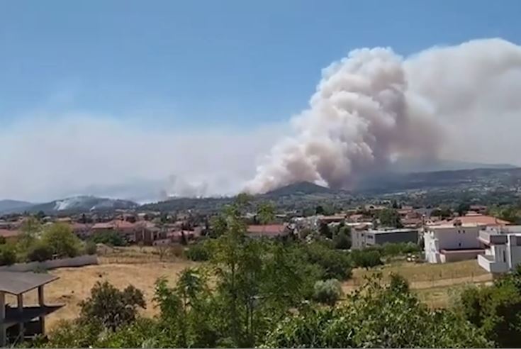 Δήμος Αλεξάνδρειας – Kοινωνικό μήνυμα για την Αντιπυρική περίοδο: Κάποια πράγματα μας αφορούν όλους, ανεξαιρέτως