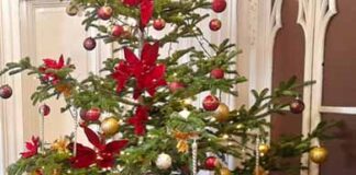 Π.Κ.Μ: Χριστουγεννιάτικες ευχές από την Περιφερειάρχη Αθηνά Αθανασιάδου-Αηδονά