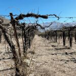 Περιβάλλον: Οι ακραίες ξηρασίες αναμένεται να γίνουν πιο συχνές, σοβαρές και εκτεταμένες