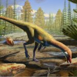 Επιστήμη: Οι δεινόσαυροι εμφανίστηκαν εκατομμύρια χρόνια νωρίτερα στο βόρειο ημισφαίριο σε σχέση με ό,τι πιστεύαμε