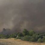 Πυρκαγιά στον Ωρωπό – Ολονύχτια μάχη με τις φλόγες