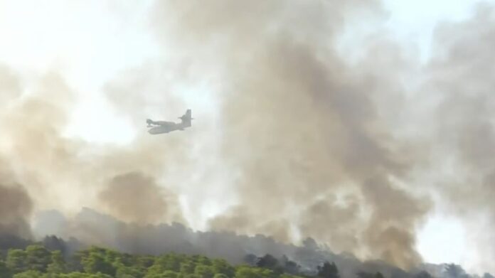 φωτιά στη Βουρβουρου Χαλκιδικής