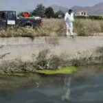 Ο Δήμος Αλεξάνδρειας ανακοινώνει το πρόγραμμα κίνησης συνεργείων του Προγράμματος καταπολέμησης κουνουπιών για την εβδομάδα 11 έως 14 Αυγούστου 2025