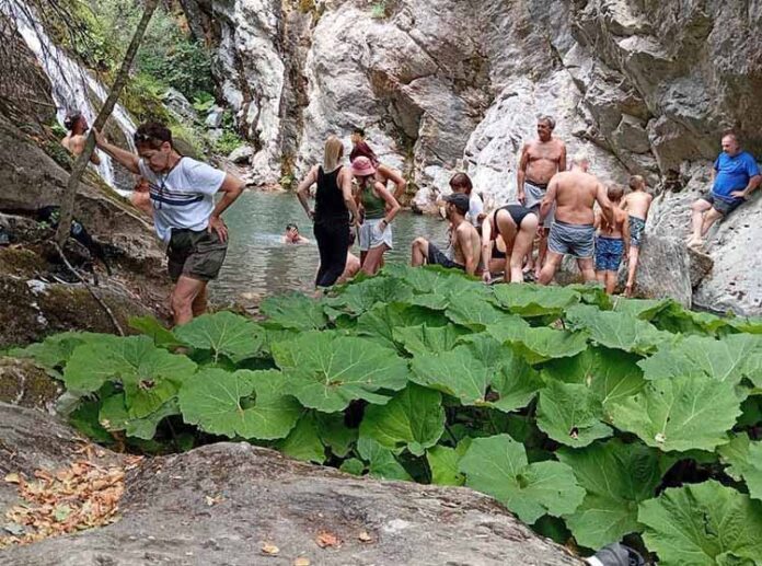 ΒάθρεςΜεταμορφ23