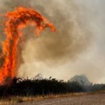 Περισσότερα από 3.430.000 στρέμματα έχουν καεί στην Ισπανία από την αρχή της χρονιάς