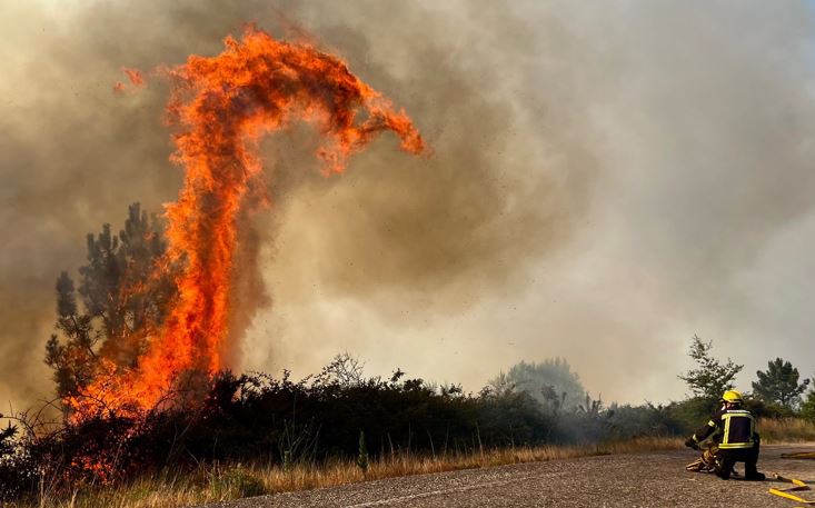 Περισσότερα από 3.430.000 στρέμματα έχουν καεί στην Ισπανία από την αρχή της χρονιάς
