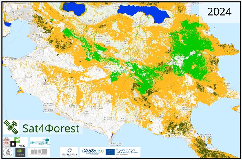 Sat4Forest Chalkidiki ForestTypes 2024