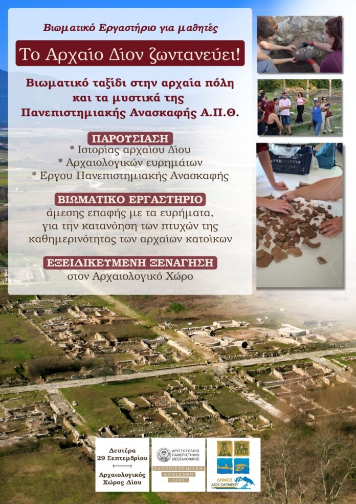 Δελτίο Τύπου