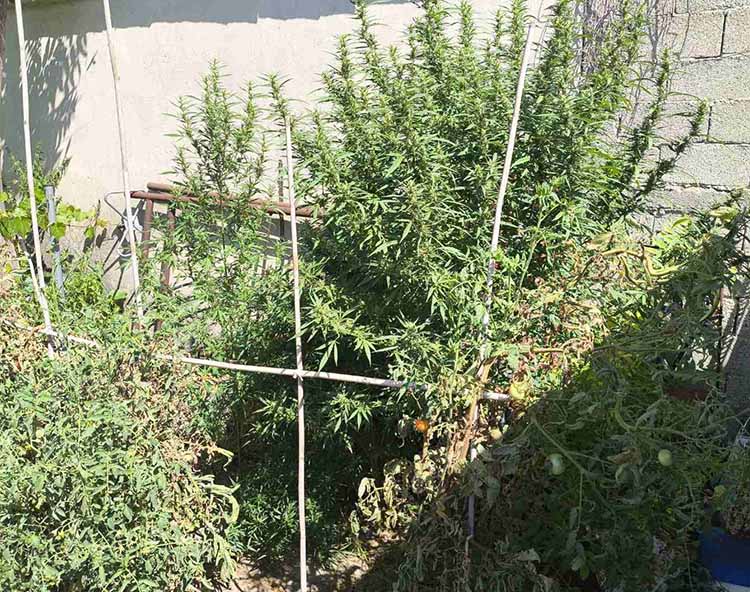 Κατάσχεση ΥΔΕΕ Σερρών