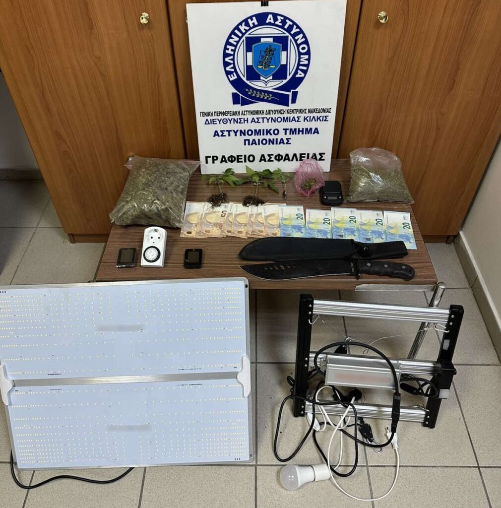 2η περίπτωση ΑΤ Παιονίας