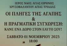 Ι.Ν. Αγίας Ειρήνης Χρυσοβαλάντου Αγίας Τριάδας Ημαθίας: Πρόσκληση σε κοινωνική εκδήλωση