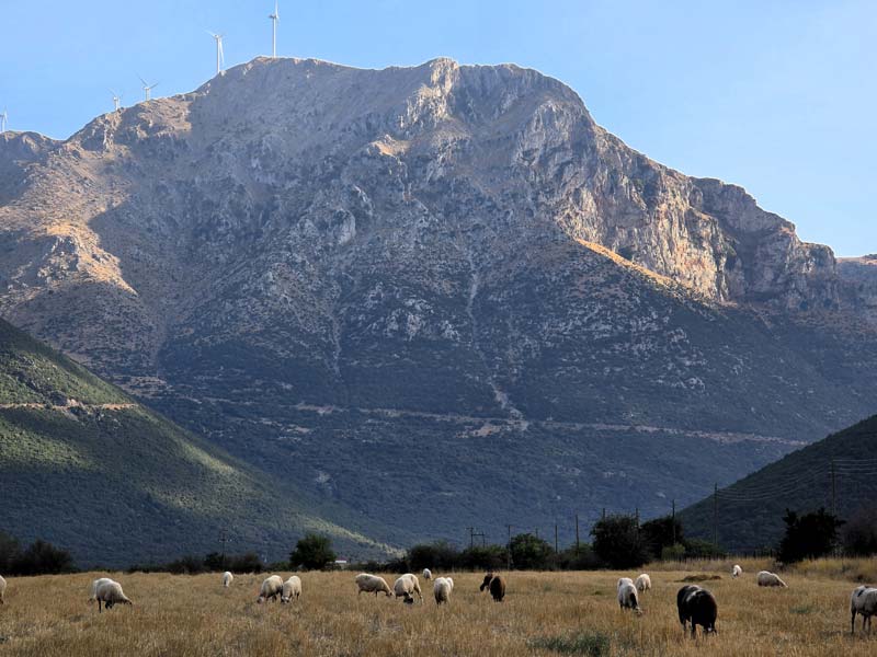 ageroxos megalovrahos