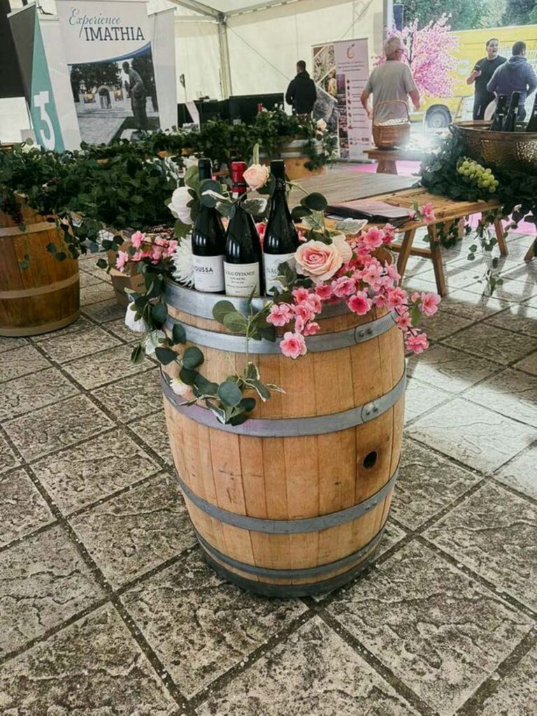 imathia quality ioannina 3