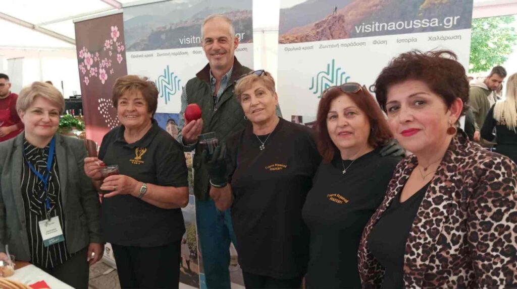 imathia quality ioannina 9