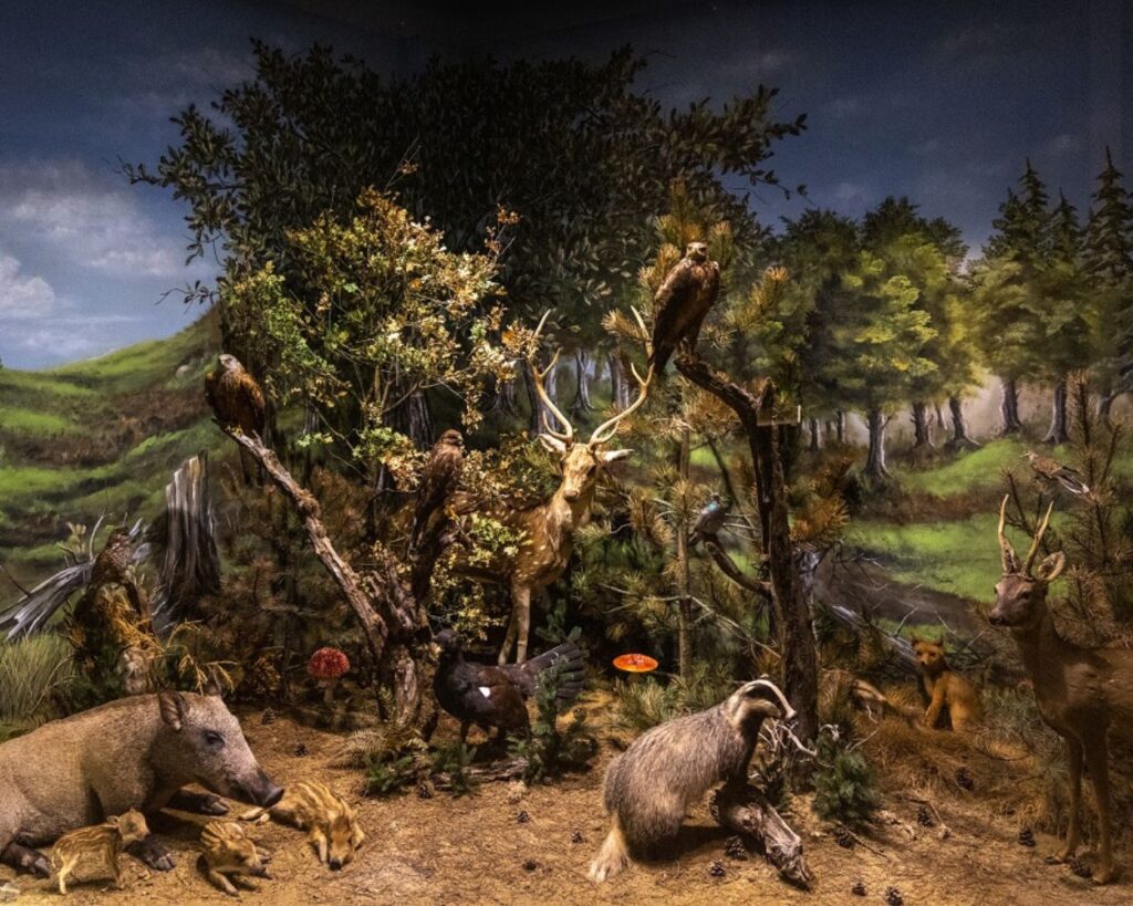 meteora museum 100 awards 2