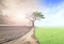 Υγεία και Περιβάλλον: Η αδράνεια για την κλιματική αλλαγή έχει ως συνέπεια εκατομμύρια θανάτους κάθε χρόνο, σύμφωνα με το Lancet