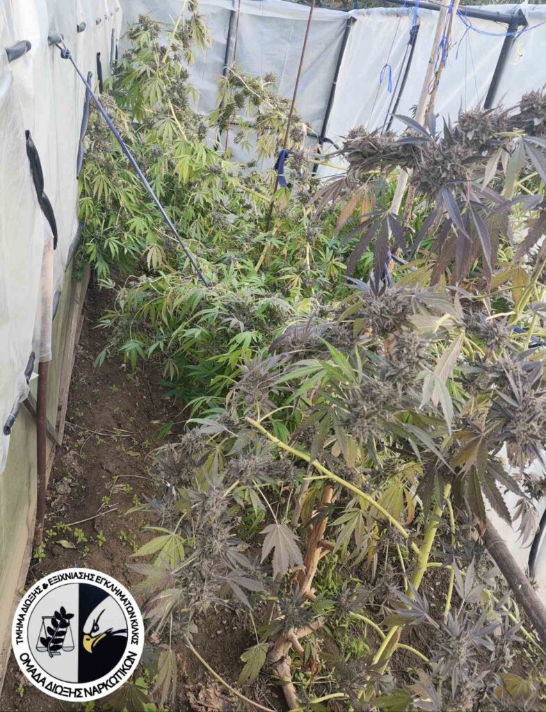 Κατάσχεση 1 από 2 ΤΔΕΕ Κιλκίς.jpg