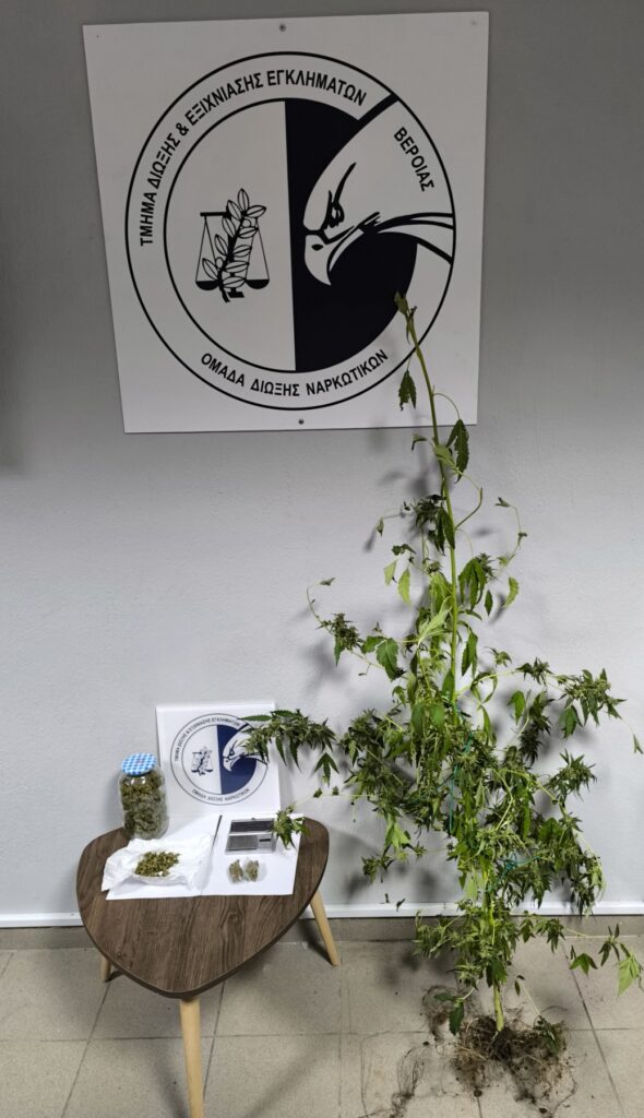 Κατάσχεση ΤΔΕΕ Βέροιας 2η περίπτωση