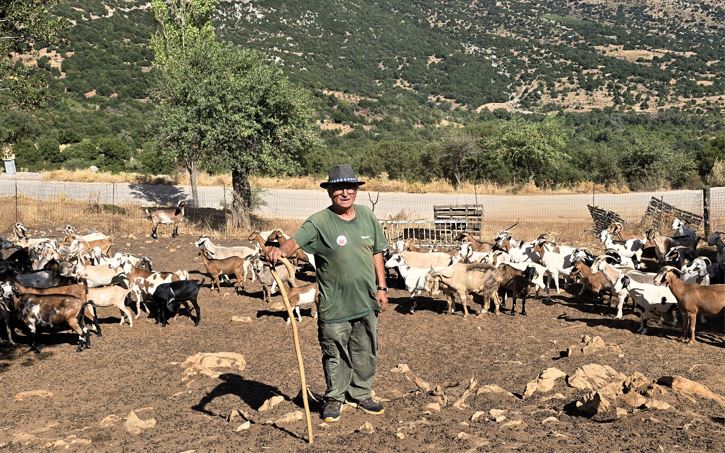 Γιώργος Ηλιόπουλος 2